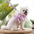 thumbnail image 4 of Dog Cat Pet Clothes Chest Strap Traction Rope Lace Teddy Bear Spring Summer Autumn Dog Walking Rope Supplies, 4 of 7