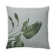 thumbnail image 2 of Ahgly Company Color Focus Green Outdoor Throw Pillow, 18 inch by 18 inch, 2 of 6