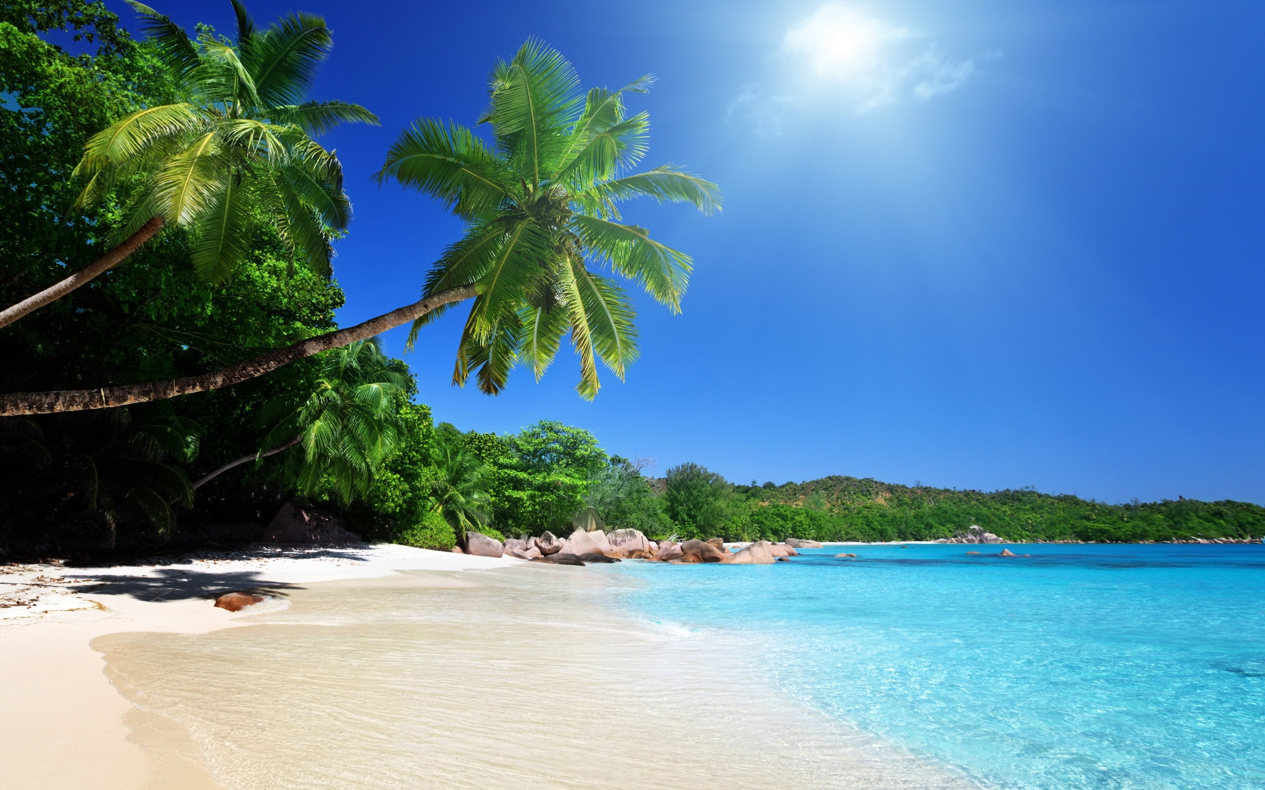 Beautiful Beach tropical 4k Picture wall art Beautiful poster Choose your Size 