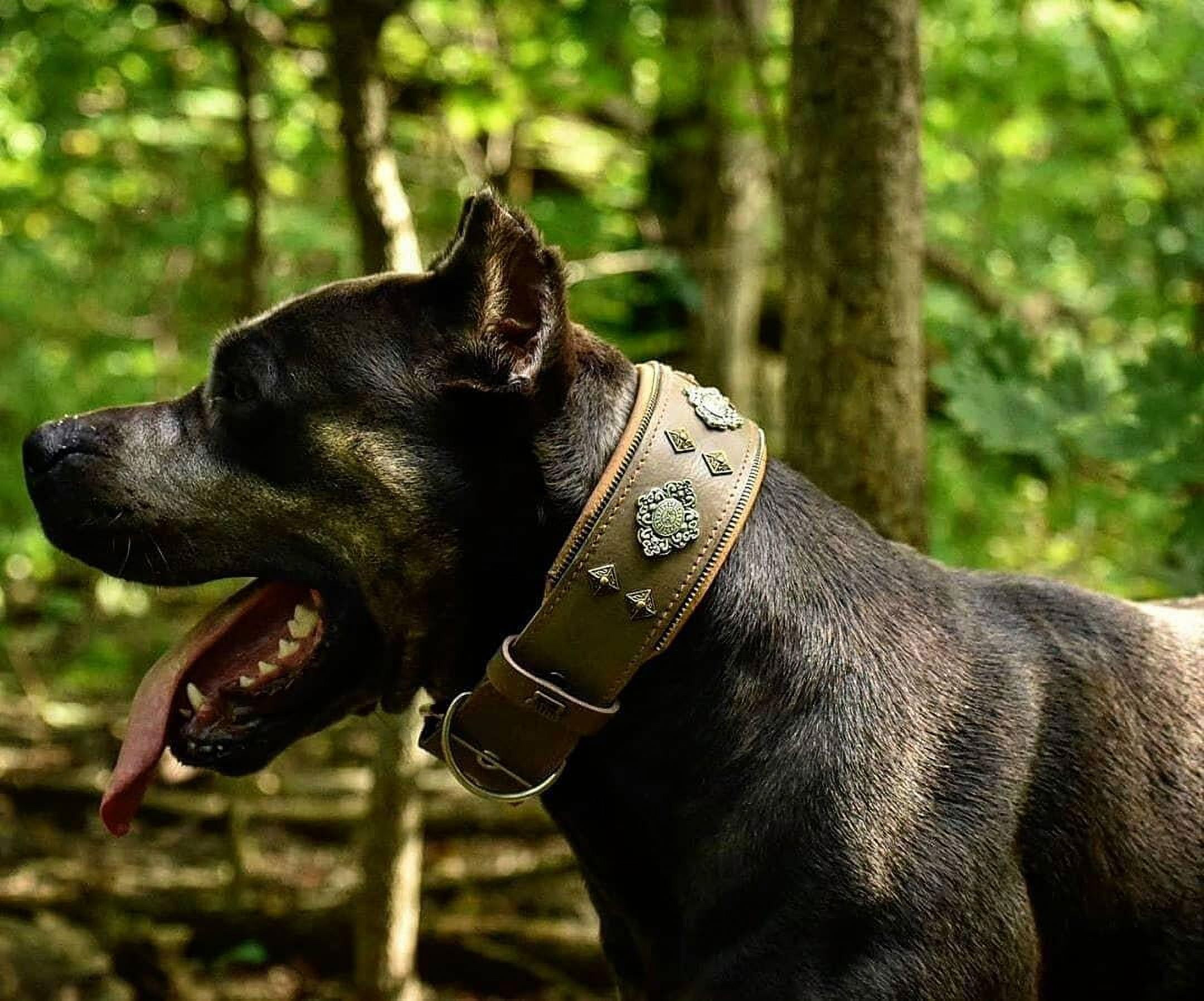 The Bestia "Aztec" Gray Leather Dog Collar for Large Dog Breeds