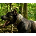 thumbnail image 6 of The Bestia "Aztec" Gray Leather Dog Collar for Large Dog Breeds, 6 of 7