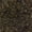 Black/ Gold, variant on Sequins Stretch Velvet