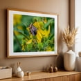 thumbnail image 5 of Pollinator Working in the Mountains of Virginia - Virginia Photography Insect Floral Nature Wildlife Botanical Garden Summer Unframed Wall Art Print 12 x 18 inches, 5 of 7