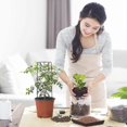 thumbnail image 5 of Enrejado de fase lunar para plantas de interior, enrejado para plantas trepadoras, enrejado pequeño para jardín, enrejado para plantas en maceta, enrejado de alambre de metal para plantas de interio, 5 of 5