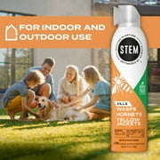 STEM Kills Outdoor Wasps Hornets Yellow Jackets Inse Count Killer Spray, 10 oz