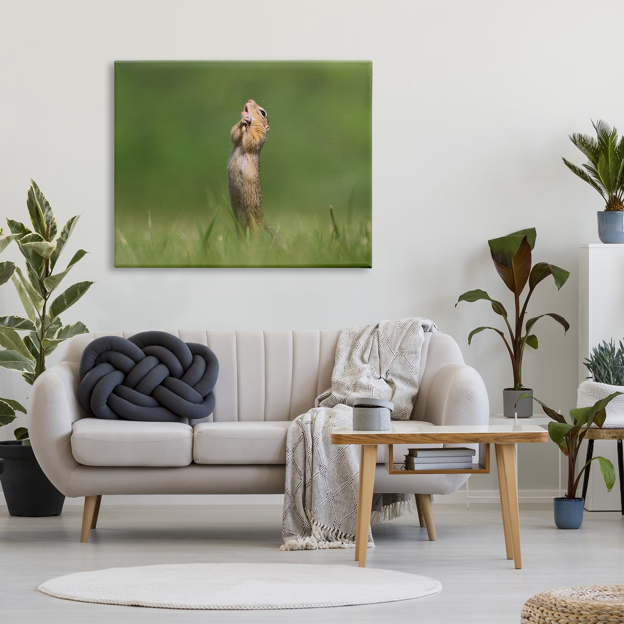Stupell Industries O Sole Mio Funny Animal Animals & Insects Photography Gallery Wrapped Canvas Art Print Wall Art, 48 x 36