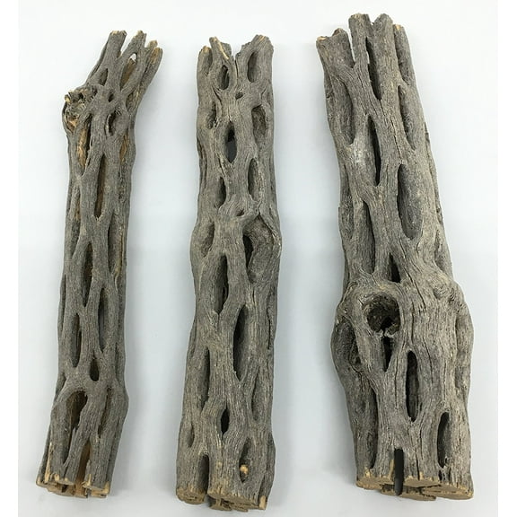 Natural Cholla / Choya Wood 3 Pieces 6” for Shrimp habitat and food treat Hermit Crabs Plecos Aquarium Decoration Lowers pH Hideouts and Chew Toys Reptiles Thorn Free Dried Organic Awesome Aquatics