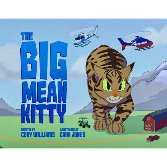 The Big Mean Kitty Book (Paperback)