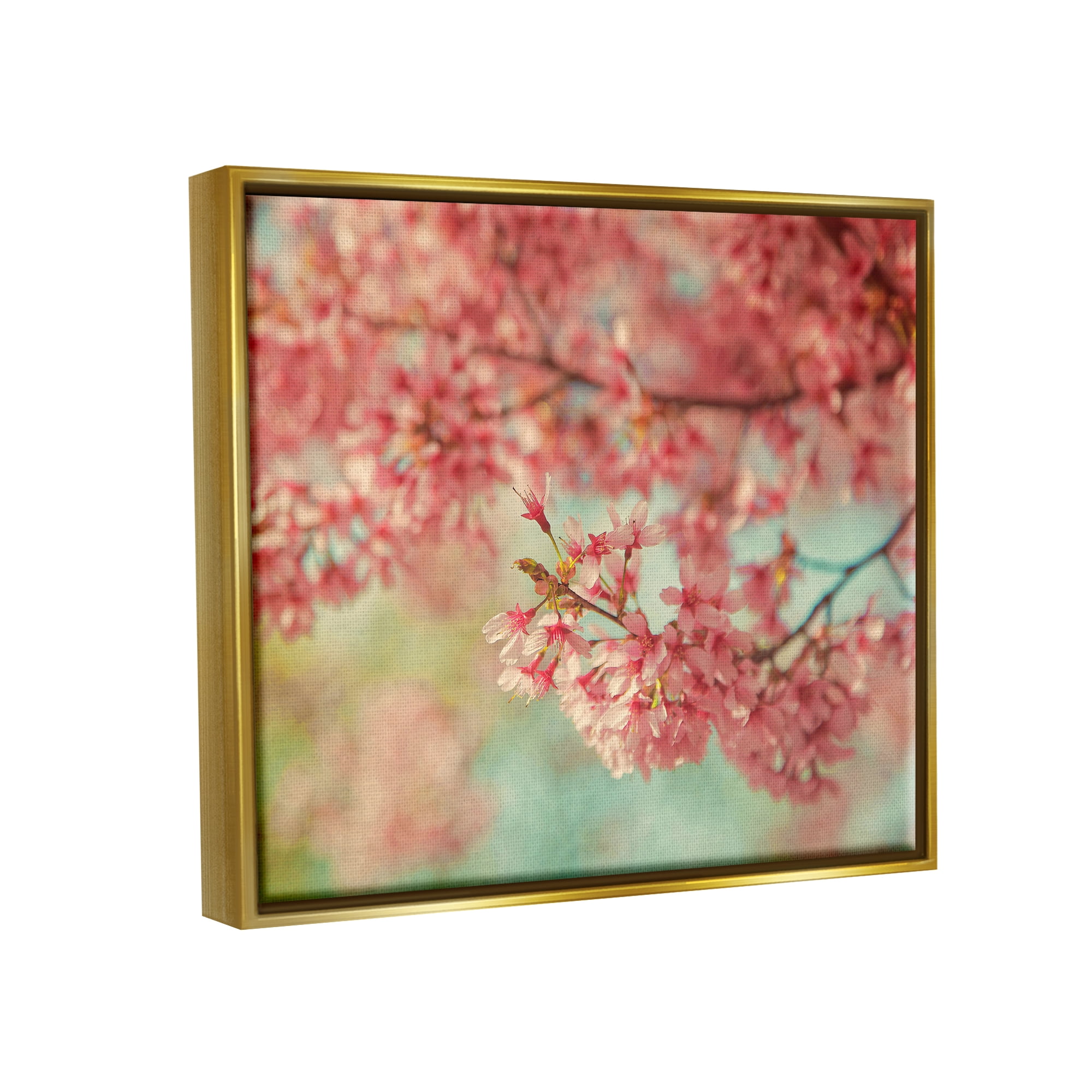 Stupell Industries Pink Cherry Blossoms Botanical & Floral Photography Gold Floater Framed Canvas Art Print Wall Art, 31 x 25
