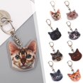 thumbnail image 3 of Creative Animal Capybara Keychain Funny Cute Cartoon Key Chain✨ Pendant Bag E9A2, 3 of 9