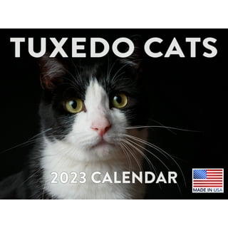 Cat Wall Calendars in Wall Calendars - Walmart.com