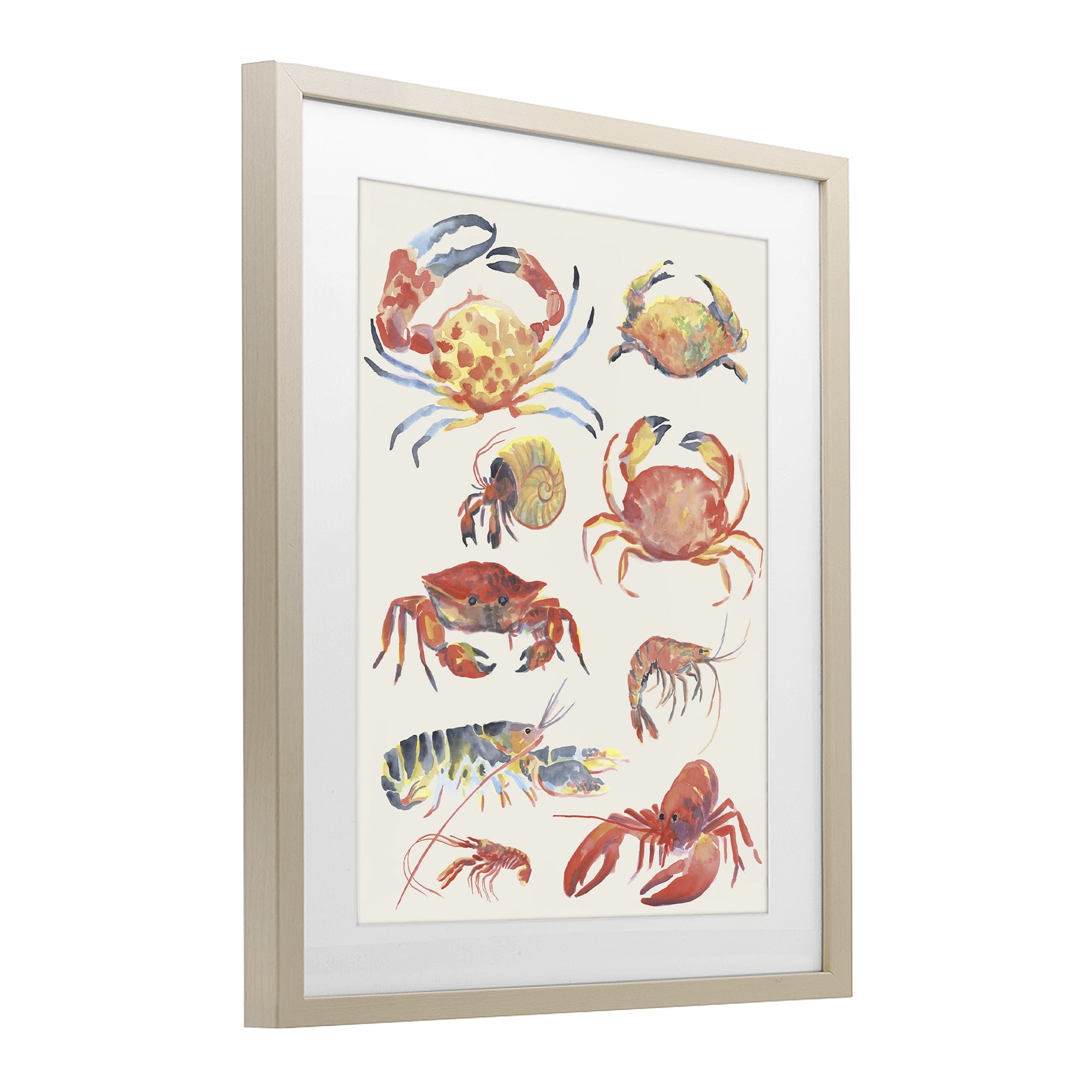 Stupell Industries Nautical Crustacean Collection Birch Framed Print Under Glass, design by June Erica Vess