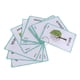thumbnail image 2 of Set De 23 s De Pabras De s Primeras Pabras Juego Educativo Educativo Actividad De s Divertidas, árboles Árboles - 23 piezas Sunnimix tarjetas flash de palabras, 2 of 8