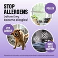 thumbnail image 3 of Air Spray Clorox PURE Allergen Neutralizer Nighttime Calm 240mL, 3 of 9