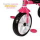 thumbnail image 3 of Triciclo 302 Trixie, 3 of 4