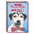 thumbnail image 1 of Hallmark Birthday Card (Playful Side, Dog in Bow Tie), 1 of 7