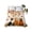 Beige, variant on Twin Flat Sheet Only Cat Fall Maple Leaves Squirrel Soft Microfiber Cooling Bedding Sheets Pumpkin Orange Gradient Flat Bed Sheet for Hotel,Home Decor