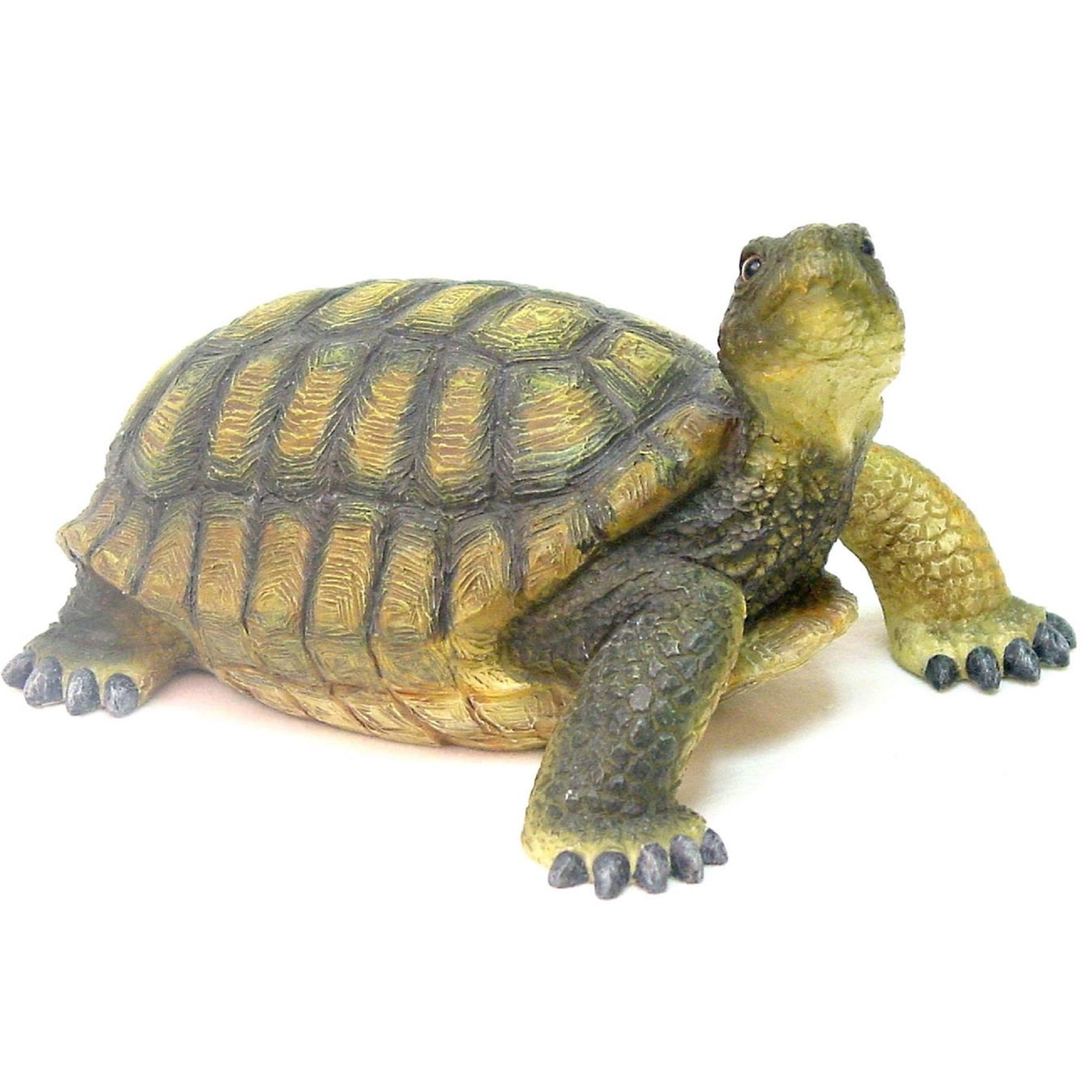 dør Logisk Definition Homestyles 13"L Realistic Large Box Turtle Home & Garden Nature Animal  Statue - Walmart.com