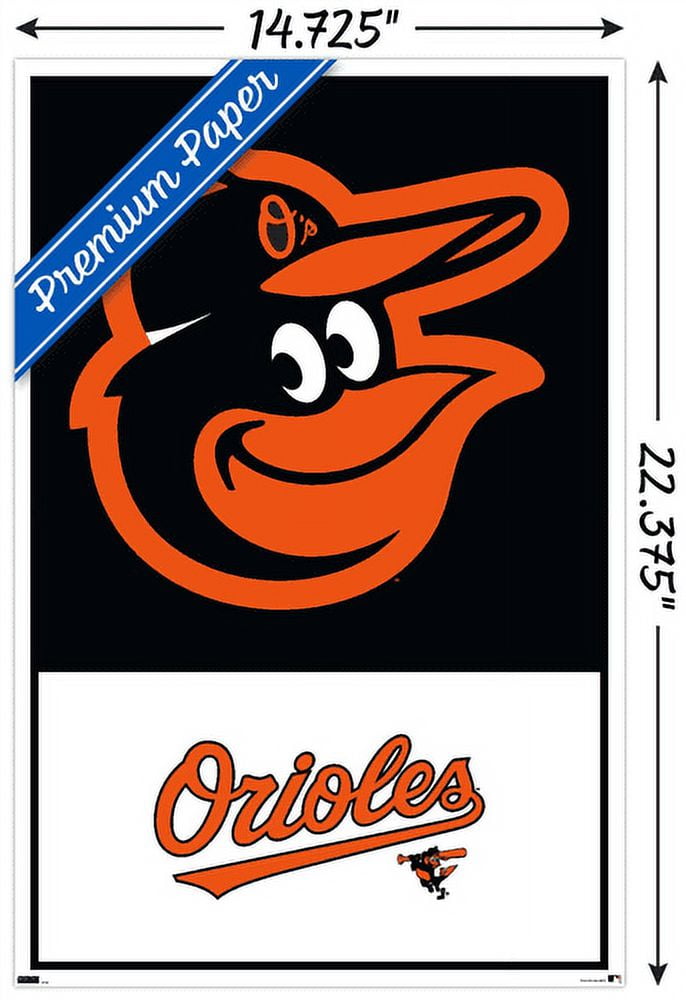 Baltimore Orioles 2022 Signature Field Photo Frame