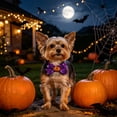 thumbnail image 5 of AuroraX Dog Halloween Costume Set Dog Costumes Halloween Small 3 Pcs Lightweight Adjustable Soft Stretchy Pet Halloween Costume National Dog Month, 5 of 6