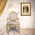 thumbnail image 3 of Gilboa, Marina Drasnin 13x18 Gold Ornate Wood Framed with Double Matting Museum Art Print Titled - Column I, 3 of 4