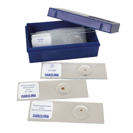 Don t Bug Me Microscope Slide Set price history on PriceWatchPro