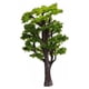 thumbnail image 5 of Naiovety de arena de árbol en miniatura Artificial, ornamento de jardín, modelo de construcción, diseño artesanal DIY, tablero de 10cm 2Conjunto, 5 of 6