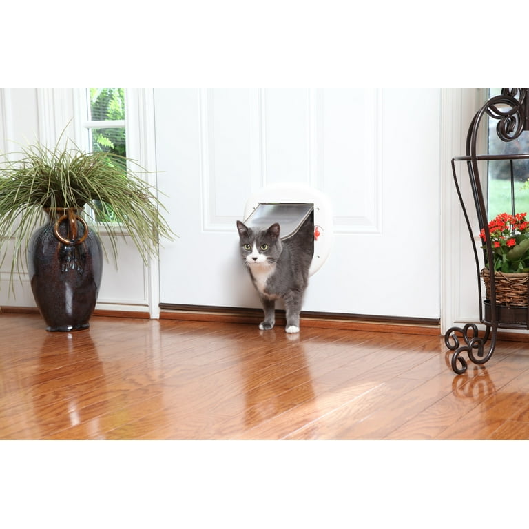 Petsafe big top cat door
