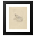 thumbnail image 2 of James Sowerby 12x14 Black Modern Framed Museum Art Print Titled - A Quail, 2 of 5