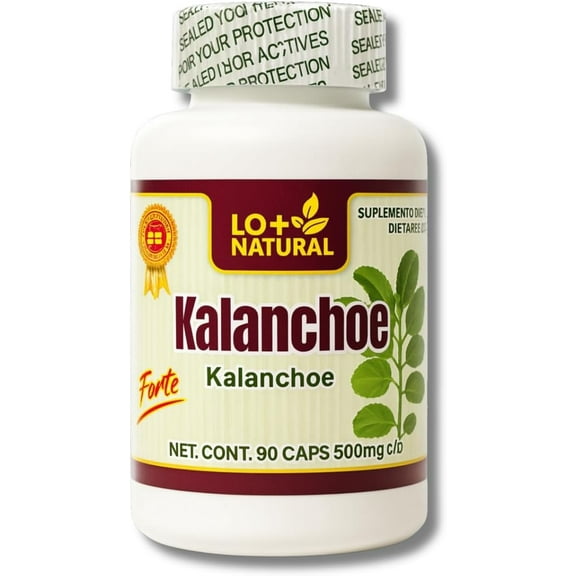 LO+NATURAL Kalanchoe Pinnata Forte(Leaf of Life) Capsules – 90 Capsules(1000 mg per Serving) Bryophyllum Pinnatum,100% Natural,Vegan,Non-GMO Herbal Dietary Supplement,Antioxidant & Wellness Support