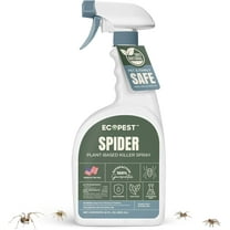 Spider Spray, Natural Spider Killer for Indoor and Outdoor | Plant-Based Home Pest Control Spray and Repellent for Spiders | Made with Clove Oil, Safe Around Children and Pets, 22 oz.