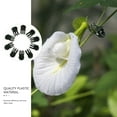 thumbnail image 3 of MasteelfCA 10pcs Orchid Plastic Clips Practical Plant Support Clips Flower and Vine Clips, 3 of 9