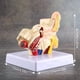 thumbnail image 4 of 5X 1.5X Modelo de AnatomíA del OíDo Humano - Modelo de SimulacióN de Estructura de OíDo Interno de Escritorio Profesional para EducacióN, 4 of 6