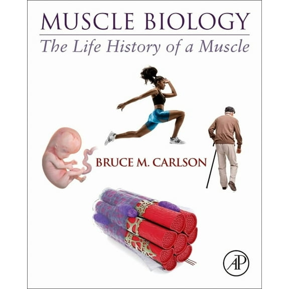 Muscle Biology: The Life History of a Muscle, (Paperback)