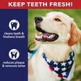 thumbnail image 5 of Pet Factory American Beefhide Braided Sticks Chicken Flavored - 6", 14 Count, 5 of 12