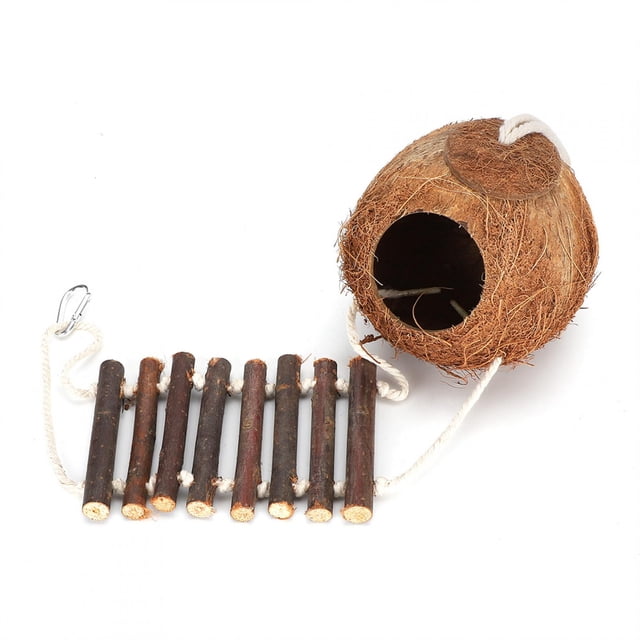 Jaula de cáscara de coco natural, nido de pájaro para cría de hámsteres, casa de coco, casa de cáscara de coco, estética elegante