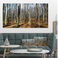 thumbnail image 1 of Shade from Sun in Autumn Forest - Modern Forest Canvas Art, 1 of 3