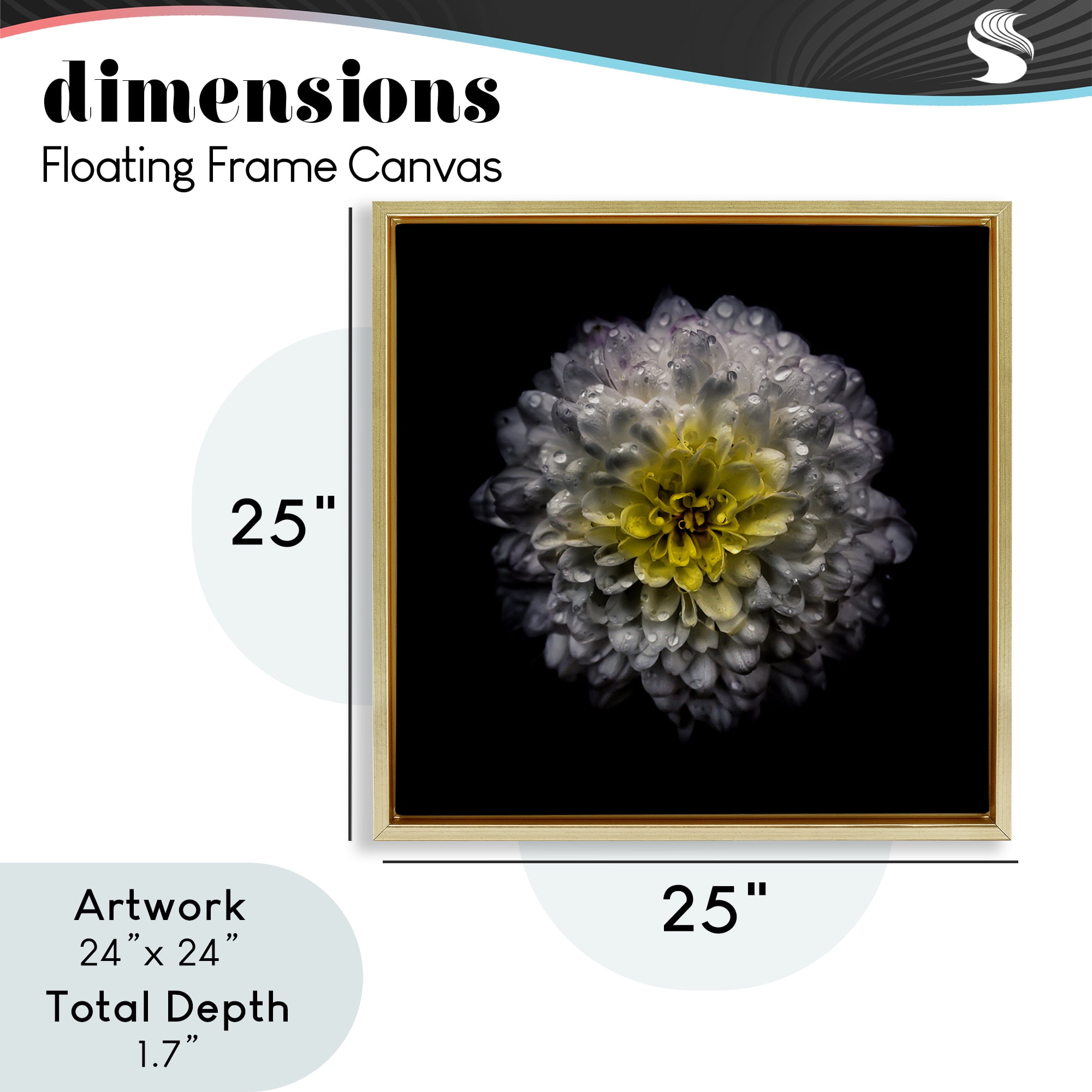 White And Yellow Mum Gold Framed Floater Canvas Wall Art, design by Brian Carson Photography