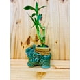 thumbnail image 7 of Lucky Lotus 12" Lucky Bamboo Live Plants in 5" Elephant Ceramic Pot, 7 of 7