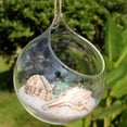 thumbnail image 4 of Hanging Glass Propagation Station Clear Terrarium Planter for Flowers Air Hydroponic Plants Small Indoor Flower Vase for Home Room Window Office Decor, 4 of 8