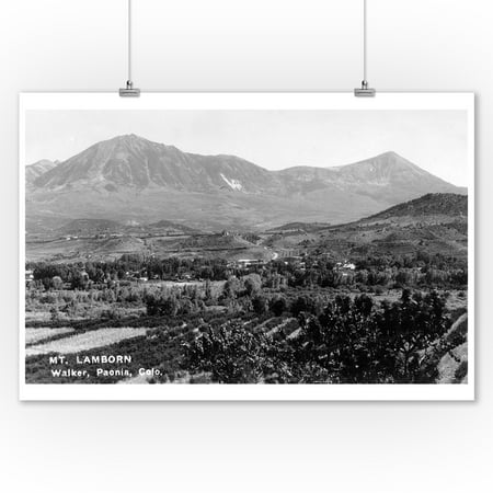 Paonia, Colorado - Panoramic View of Town, Mt Lamborn Photograph (9x12 Art Print, Wall Decor Travel (Best Way To Print Panoramic Photos)