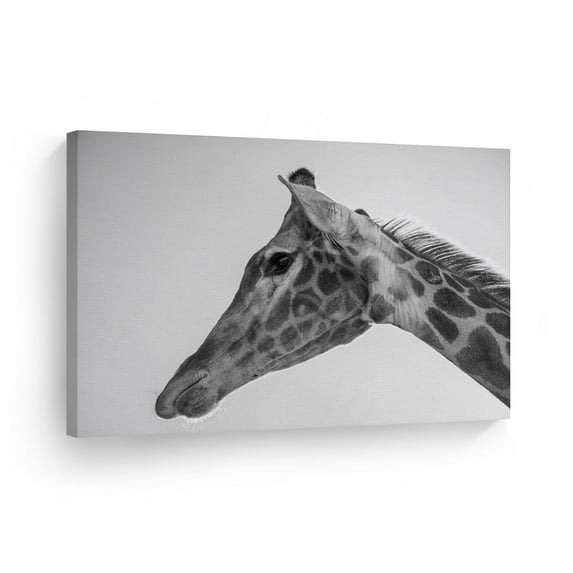 Smile Art Design Printed Animal Abstract Framed Canvas Art Print,19" x 28"