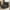 Dark Gray, variant on Pellet Velvet Accent Recliner with Pillow, Comfy Lounge Chair with Waist Pack Padding, Modern Soft Oversized Single Sofa Couch Armless Chair for Living Room Bedroom Office, Dark Gray