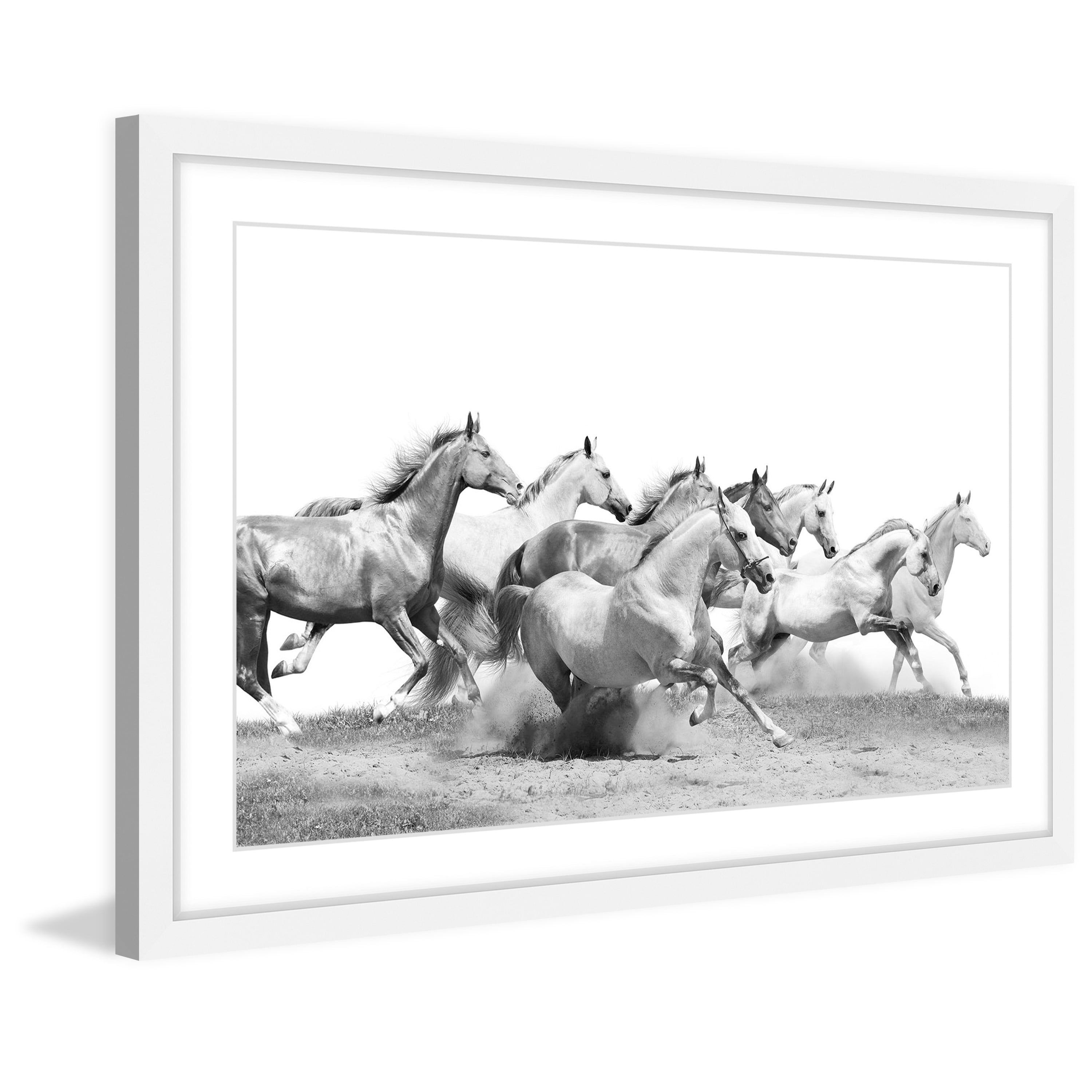 Marmont Hill 'Horseplay' Framed Photographic Print on Paper