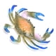thumbnail image 5 of Cangrejo De Plástico Duradero, Modelo De Alta Simulación, Juguetes De Cangrejo, Educación Temprana Para Bebés De Más De 3 Años, 1 Ud., 5 of 8