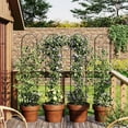 thumbnail image 7 of Riedhoff Metal Garden Trellis for Climbing Plants, 55.11“ x 11.81”, 2 Pack, Black, 7 of 7