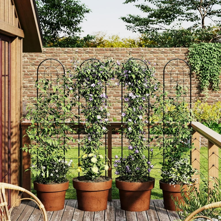 Riedhoff Metal Garden Trellis for Climbing Plants, 55.11 x 11.81, 2 Pack,  Black