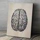 thumbnail image 4 of Bewildely Cartel de la imagen del aula del pasillo de la pintura de la estructura del cerebro con el marco Decoración del hogar, 4 of 6