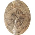 thumbnail image 1 of Manteles Individuales Vianney Roble, 1 of 3