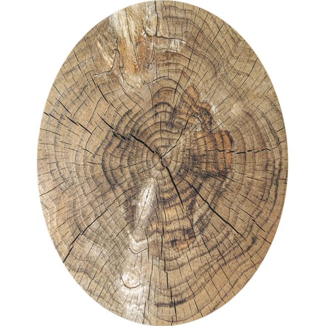 Manteles Individuales Vianney Roble